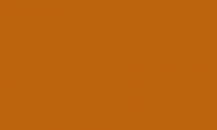 Feste Mitarbeitende Portrait